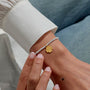 A Little 'Lucky Charm' Bracelet image 1