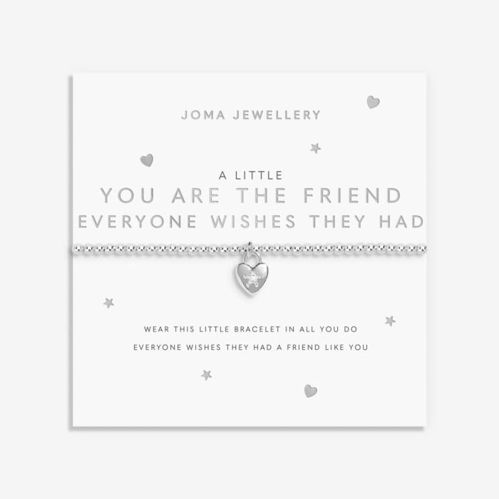 A Little 'You're The Friend Everyone Wishes They Had' Bracelet image 0