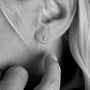 Kit Heath Céleste North Star Petite Stud Earrings image 1