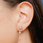Universal Beauty Earrings image 1