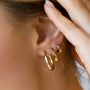 Medio Earrings Ellera Pianura image 1