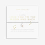 A Little 'Love You To The Moon And Back' Bracelet image 0