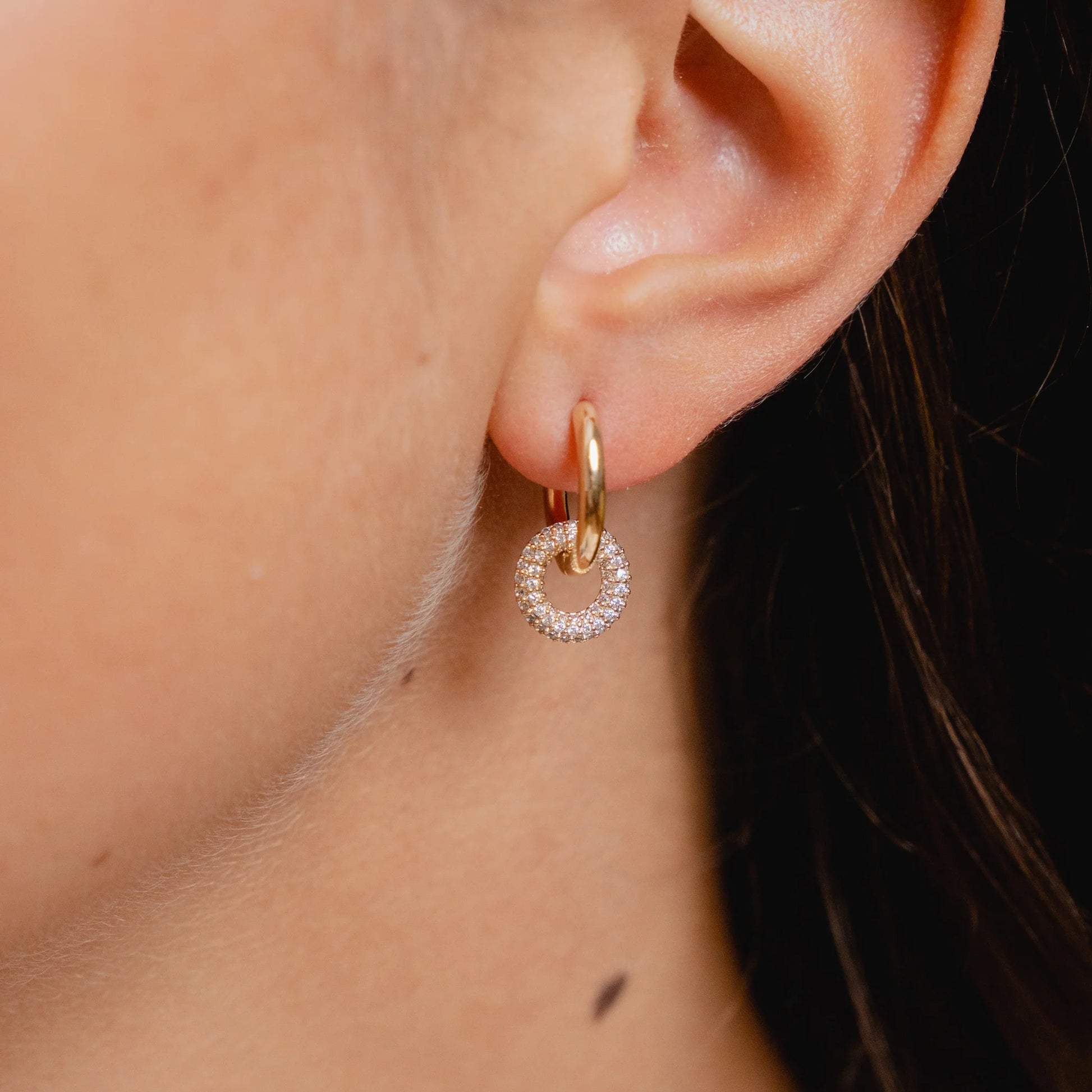 Backyard Memories Earrings