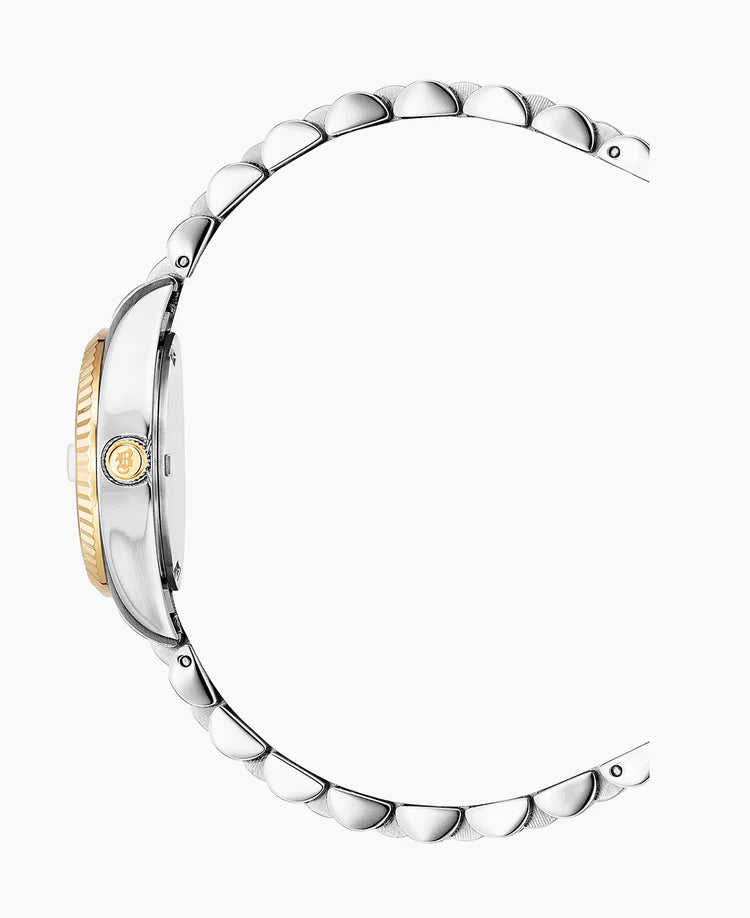 Two-tone Silver dial Stainless steel swiss watch