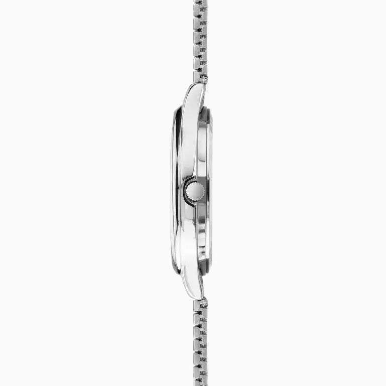 Easy Reader Watch