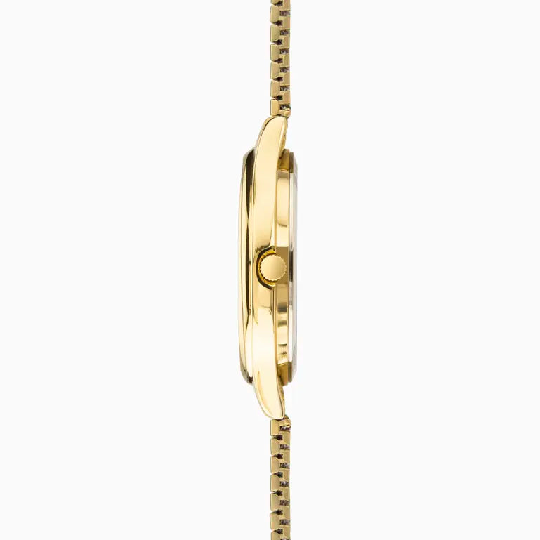Easy Reader Watch