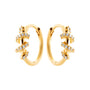 Sonder Earrings image 0