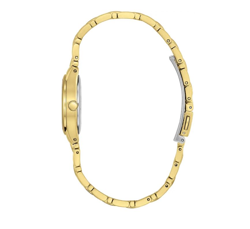 Citizen EW1262-55P Ladies Gold Plate Eco-Drive Watch 2601142 image 1