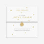 A Little 'Lucky Charm' Bracelet image 0