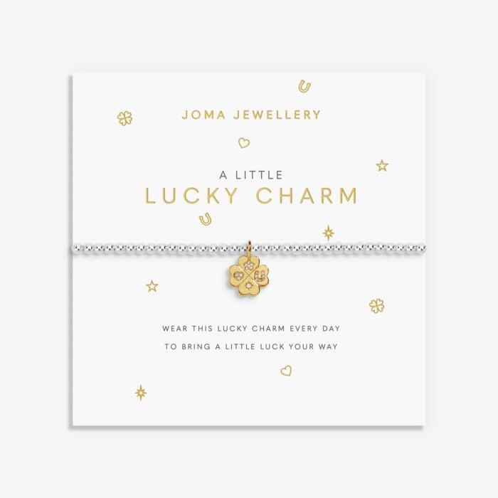 A Little 'Lucky Charm' Bracelet image 0