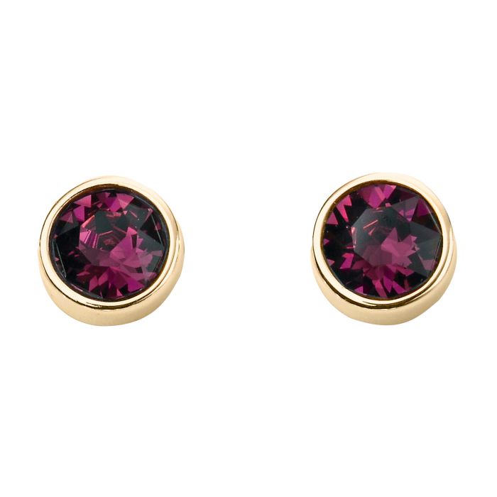 Gold Plate Birthstone Earrings - February