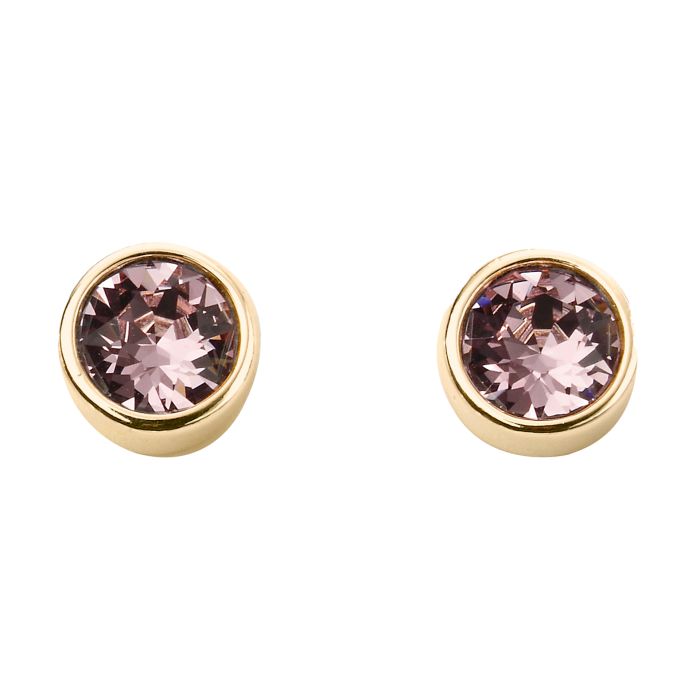 Gold Plate Birthstone Earrings - June
