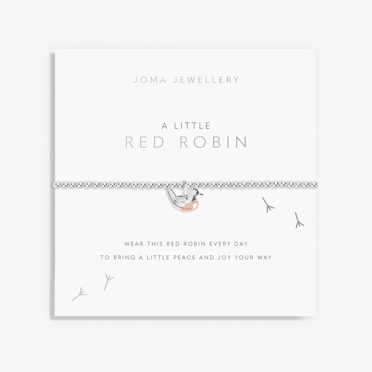 A Little 'Red Robin' Bracelet image 0