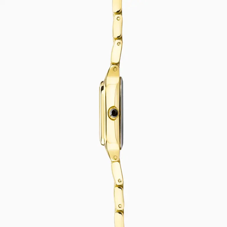 Monica Ladies Watch