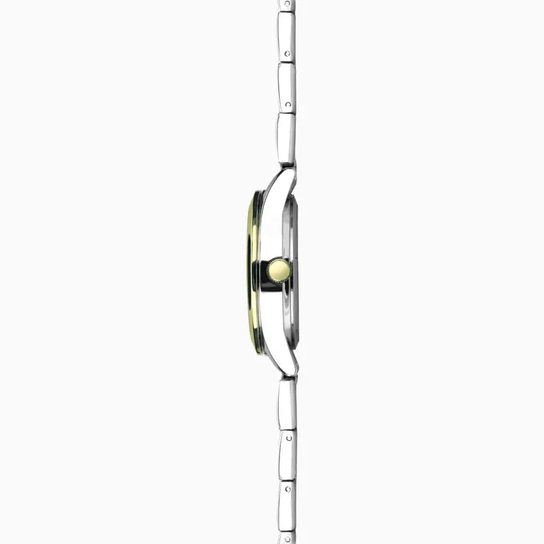 Taylor Ladies Watch