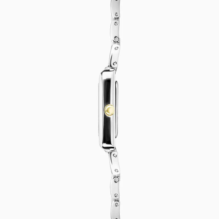 Colette Ladies Watch